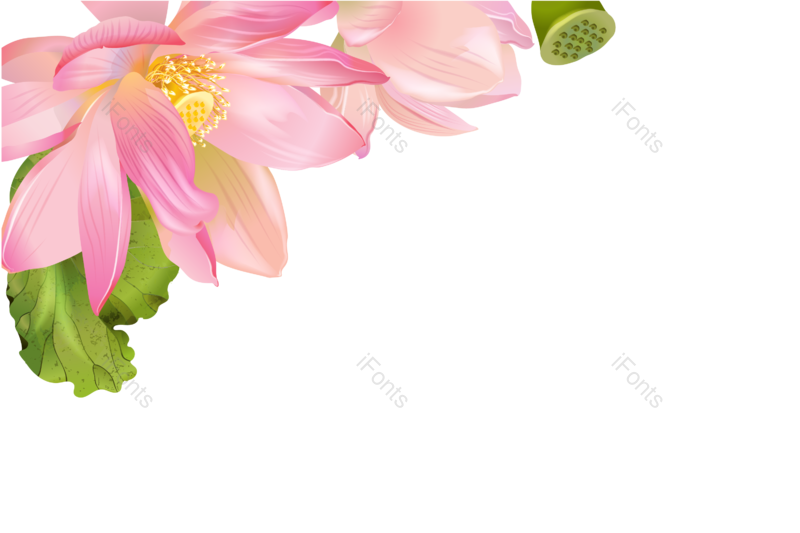 夏天图片,花卉元素,花朵PNG,鲜花免抠素材